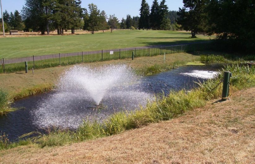 This is the aeration pond at Palermo Lagoon in Tumwater.